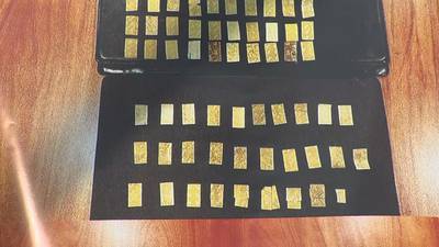 Photos: Norfolk Sheriff's Office drug conspiracy investigation