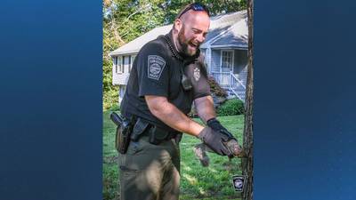 Cohasset officers rescue squirrel with head stuck in a tree