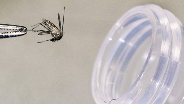 First human case of West Nile Virus reported in Massachusetts