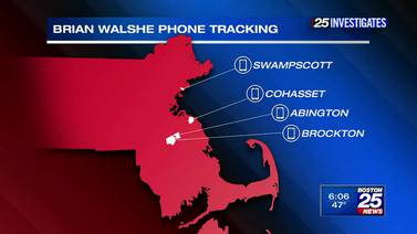 25 Investigates: Brian Walshe’s damaging digital footprint, according to prosecutors 