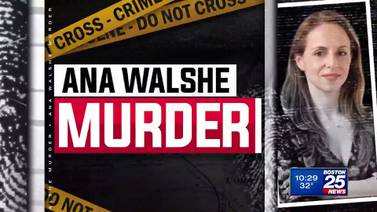 Ana Walshe murder: An in-depth look into where the case stands and what comes next