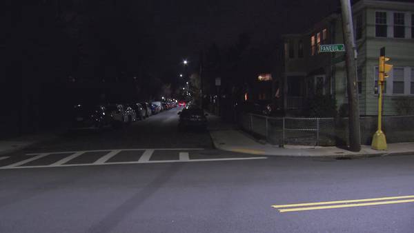 Boston police investigating report of late-night lurker in a Brighton neighborhood