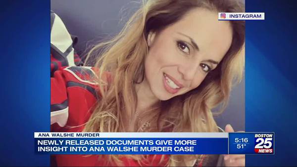 Newly released court files reveal more information about Ana Walshe murder investigation 