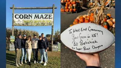 Bill Belichick makes surprise visit to Worcester County corn maze: ‘Best farm in NE!’