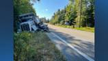 Moose in roadway causes serious head-on collision between two trucks in NH, police say