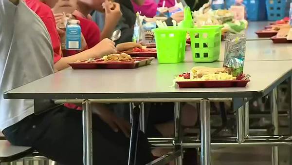 New law guarantees greater access to free school meals