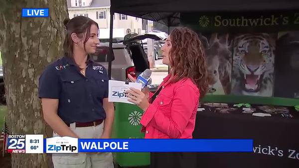 Walpole Park Zip Trip: What’s New at the Zoo