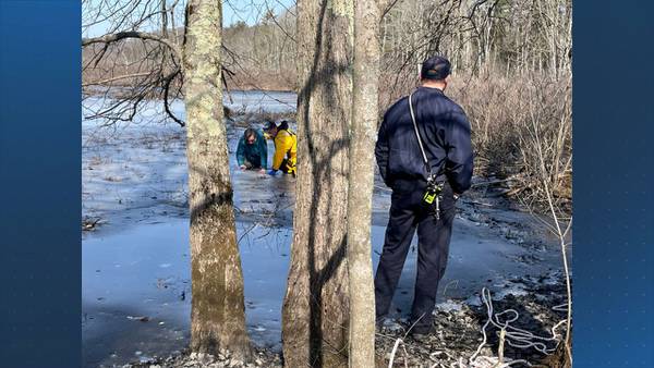 Woman and dog rescued from ice in Northborough