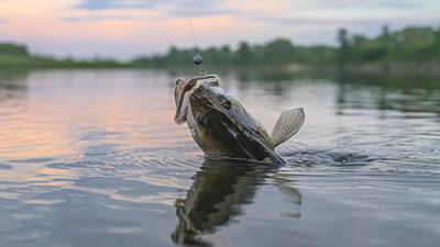 Something fishy: Anglers caught cheating during Cleveland tournament