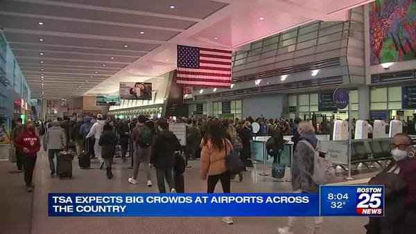 Sunday expected to be busiest day of air travel since pandemic started
