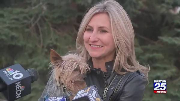 Dog stolen 11 years ago reunited with owner