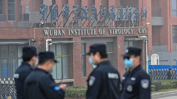 'Extremely disconcerting': NIH didn't track U.S. funds going to Chinese virus research, watchdog finds