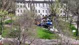 Students at Harvard join pro-Palestinian protests by establishing encampments on school yard 