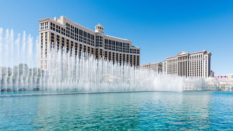 On social media, the Bellagio in Las Vegas, Nevada said it paused its shows at their foundation because of a rare bird.