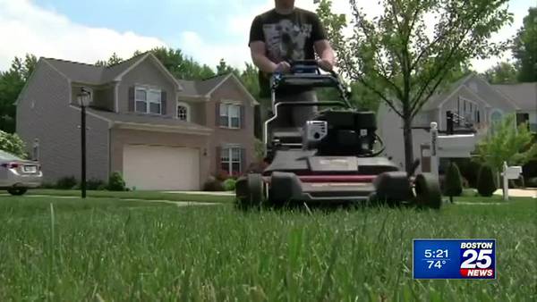 Lazy lawn care: What cutting the grass less can do for your yard, your wallet and the environment
