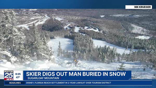 Skier digs out buried man in snow