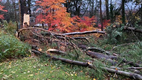 National Weather Service confirms tornados touched down across CT, RI Saturday night 