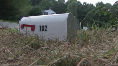 Public’s help sought after multiple mailboxes reportedly destroyed in Bellingham