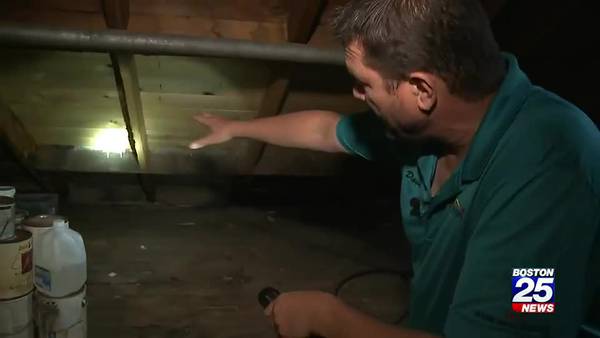 Waived home inspections are putting Mass. inspectors out of work