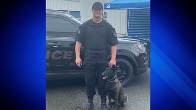 25 Investigates: Police officer claims Abington chief retaliated by taking away police dog