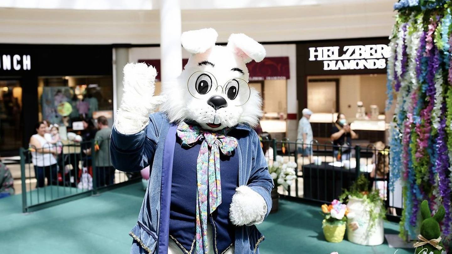 Visit with the Easter Bunny – Burlington Downtown