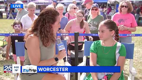 Worcester Zip Trip: Junior Reporter