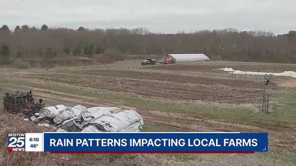 ‘We’ve gotten more than our cupful’: Rain patterns impacting local farms 