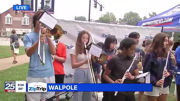 Walpole Park Zip Trip: School Stars