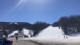 ‘Tragic loss’: Skier dies after crashing into tree at Wachusett Mountain 