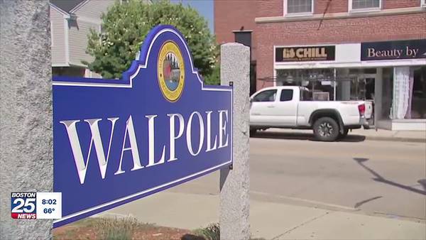 Walpole Park Zip Trip: Toyota Town Tour