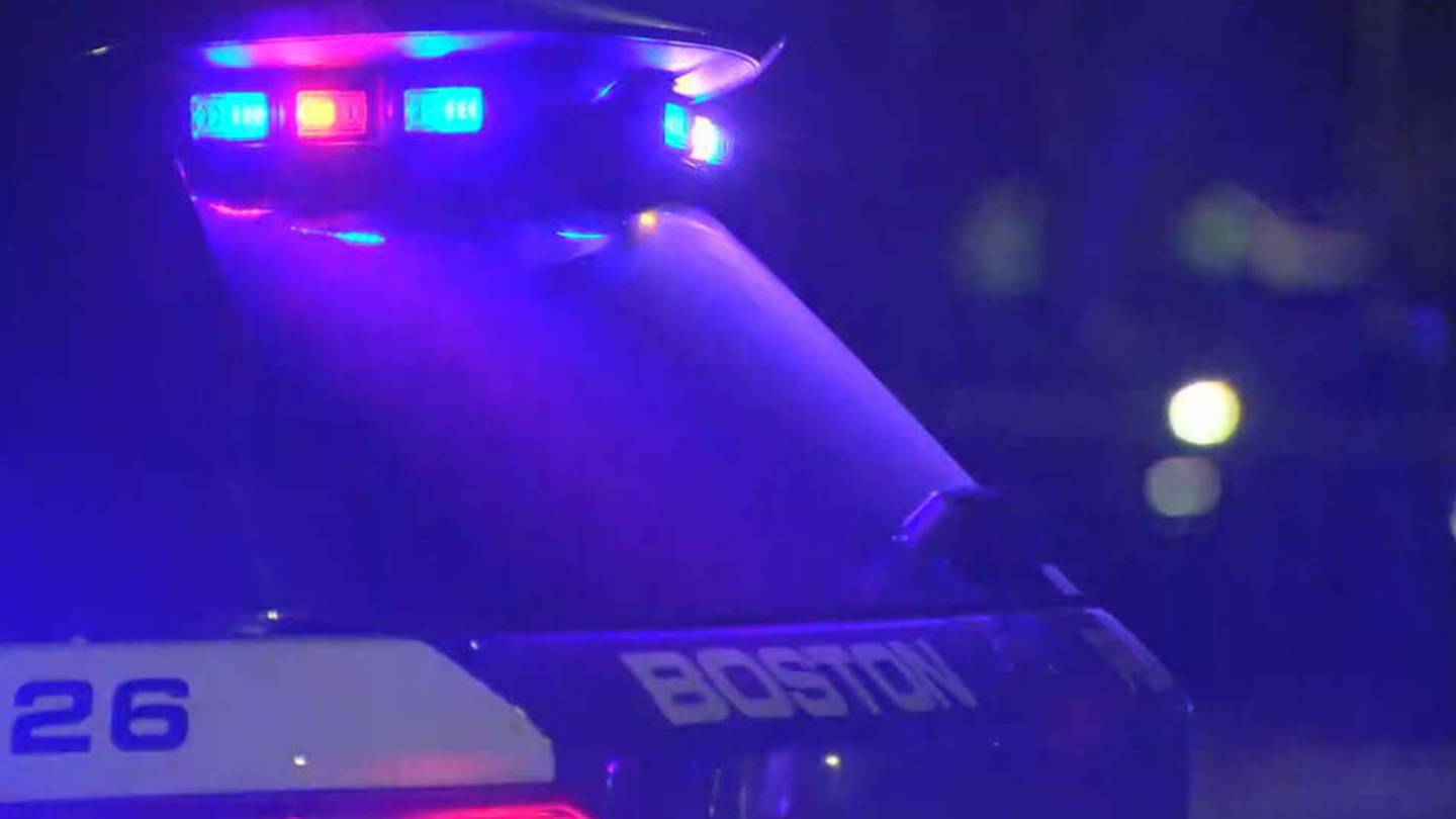 波士顿警方称，四人因试图在海德公园盗取车辆而被逮捕