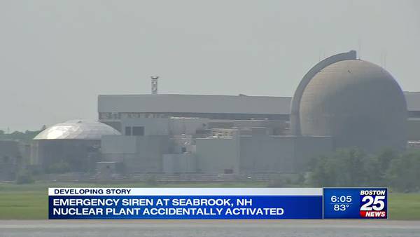 Inadvertent activation of emergency siren at NH nuclear plant prompts closure of nearby beaches