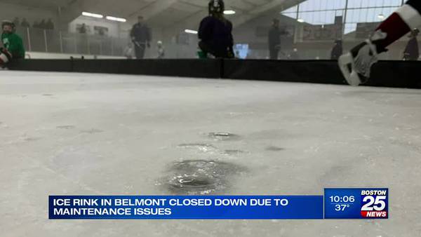 ‘We’ve got animals living inside’: Families fear run-down Belmont ice rink may be shut down for good