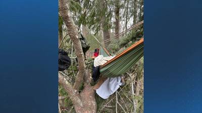 Suspect with long criminal history found camping in tree near Boxford school, police say