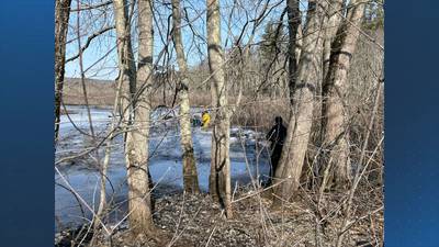 Woman and dog rescued from ice in Northborough