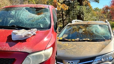 Dozen vehicles in Massachusetts city damaged by pumpkin-throwing vandal, police say