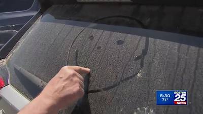 Pollen not only causing problems for people with allergies