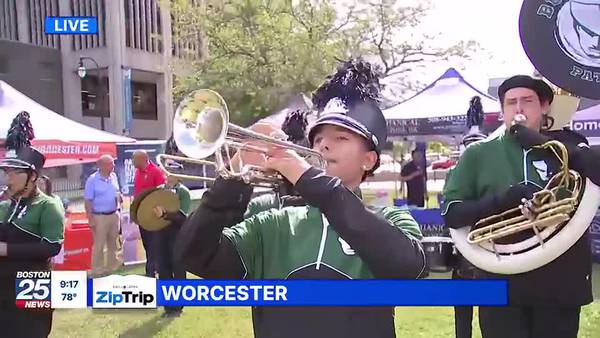 Worcester Zip Trip: School Stars