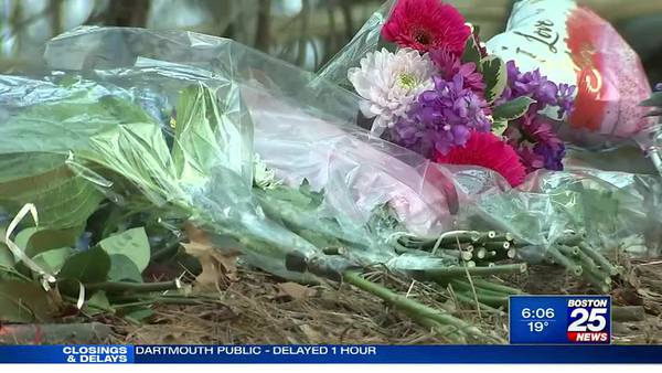 Grief counselors made available for Dover-Sherborn students following teen driver’s death