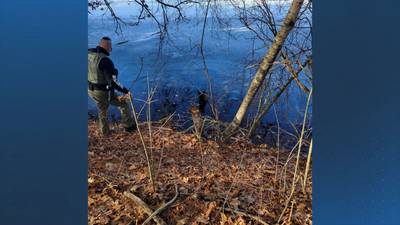 Dog rescued after falling through the ice in Chelmsford