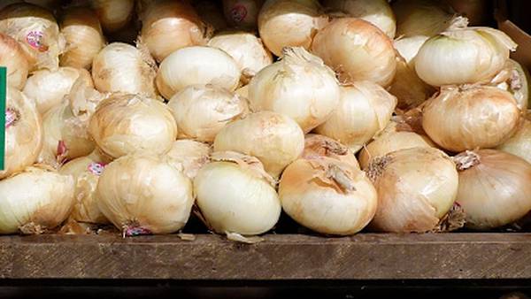 Recall alert: Onions sold at some Wegmans, Publix recalled on listeria concerns