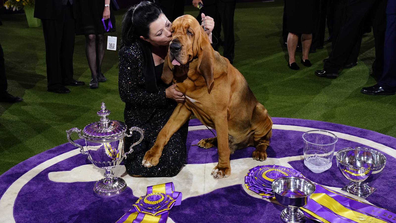 Westminster Dog Show 2022 See the best in show, group winners Boston