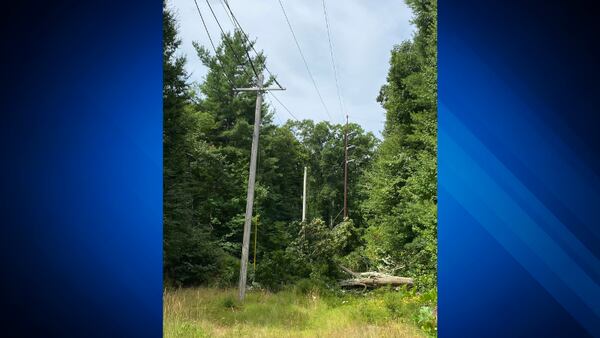 Downed tree to blame for townwide power outage in Stoughton