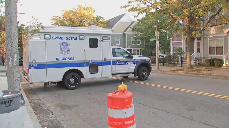Assault investigation underway in Boston's Roxbury neighborhood.