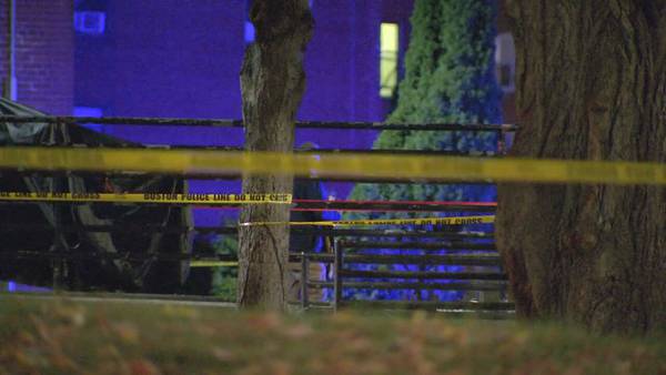 19-year-old victim identified in deadly Jamaica Plain shooting