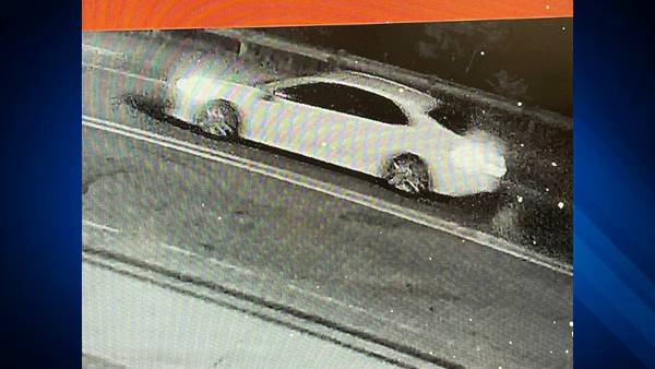 Police looking for hit and run driver accused of damaging parked car in Essex