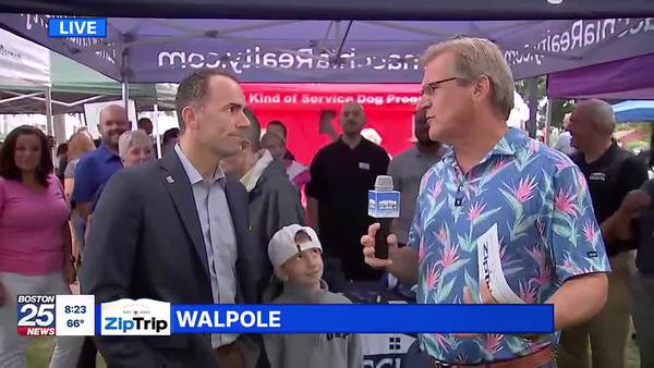 Walpole Park Zip Trip: LaMacchia On the Market