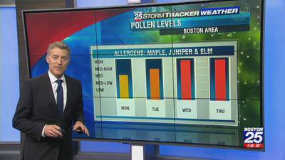 Tough week ahead for local allergy sufferers