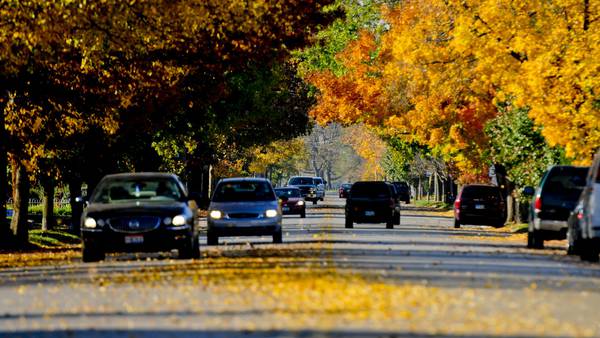 What does the summer drought mean for the fall foliage in New England?