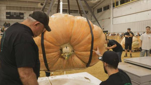 Oh my gourd! Mass. man’s gigantic pumpkin breaks Topsfield Fair record
